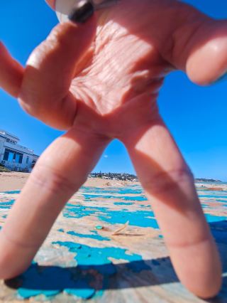 Tunisia Romantic Holiday! Hammamet Must-Visit Guide