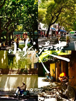 プラタナスの木陰の古い街時間｜泰安、この通りに夏の緑がまるごと隠れている