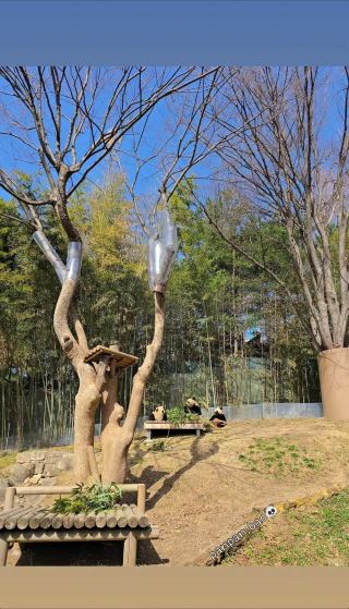 旅遊,是心靈在生活書架中的一次自由翻閱。當心被生活的忙碌所累時,旅遊便成了那本翻開的書籍,帶著心走进了一个全新的世界。風在书页間翻動,似在為心靈的閱讀伴奏。心像一位虔诚的讀者,在生活的書架中,寻找著屬於自己的那本书。沿途的风景,是書中的文字,或優美或朴实,都成了心靈汲取知识的源泉。和當地的人交流,那不同的生活经验和智慧,是書中的注释,讓心在理解中,不断丰富著自己的内涵。當心合上這本“旅遊之書”,回望來時的路,發現自己已經在閱讀中收获了成长和智慧,对生活有了更深的理解和感悟。
#新年好去處2026#travel2026