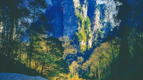 대장장가계 구역을 누비며, 후난의 비경을 해제하세요 — traveler post in 창더