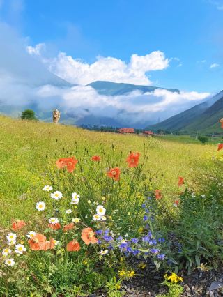 12-day multi-country tour guide for Georgia and beyond, with tips to avoid pitfalls