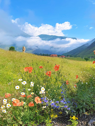 12-day multi-country tour guide for Georgia and beyond, with tips to avoid pitfalls