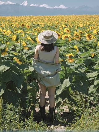 昭蘇隱藏花海抬頭遇見汗騰格里