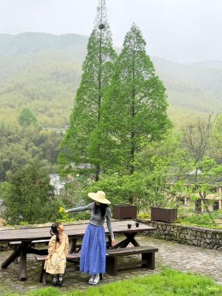 莫干山絶景の民宿おすすめ｜大楽之野碧坞店で癒しの旅