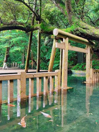 雨上がりの鹿島神宮、癒やしの旅