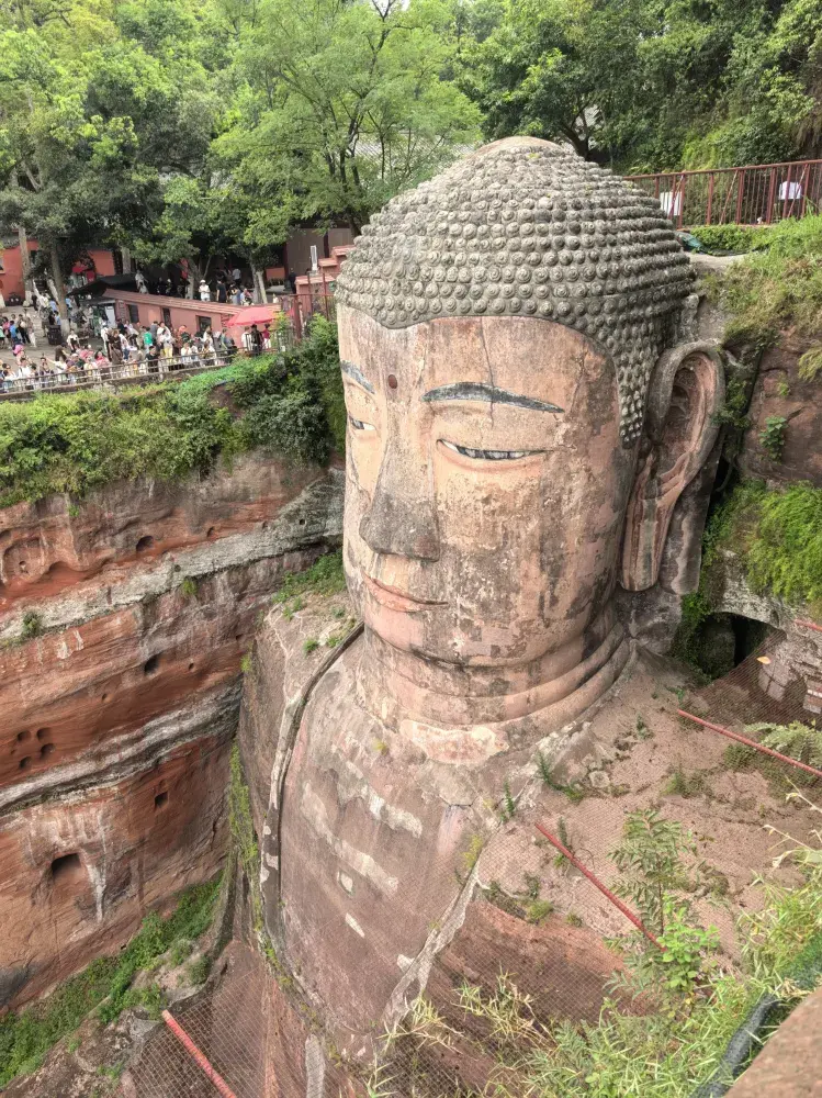 真後悔！帶娃去樂山大佛之前沒看到這篇攻略