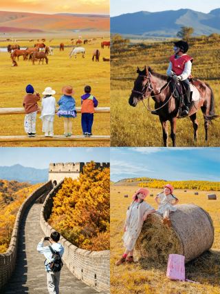 The ultimate National Day family trips! 12 high-quality routes you can book with confidence
