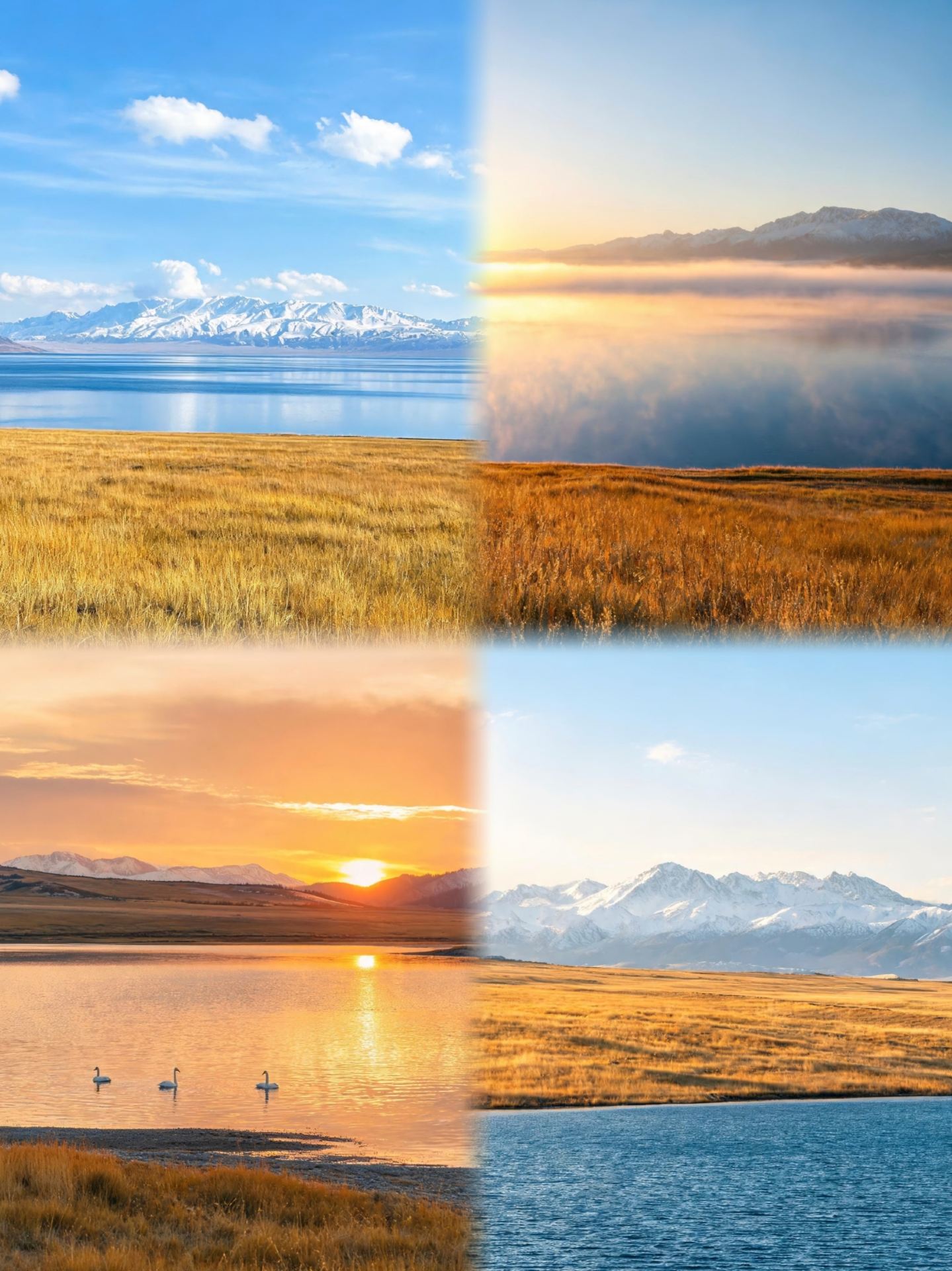 Just got back from Sayram Lake, and I really don't recommend visiting in October–November because it's just too...