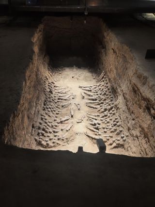 Oct 3 Xi'an 3-day trip_Matuta's travelogue [Shaanxi edition]