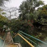 賽西湖公園:前身係七姊妹水塘