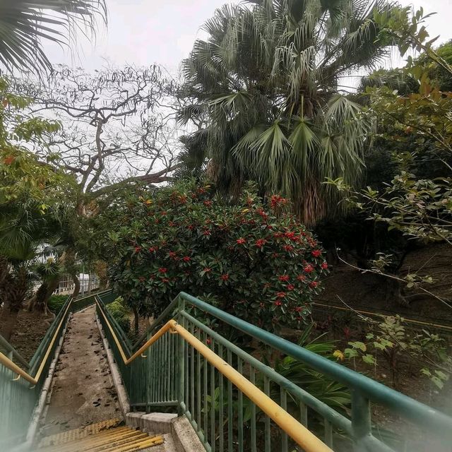 賽西湖公園:前身係七姊妹水塘