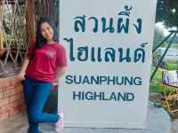 สวนผึ้ง ไฮแลนด์ 🐝SUANPHUNG HIGHLAND 🐝