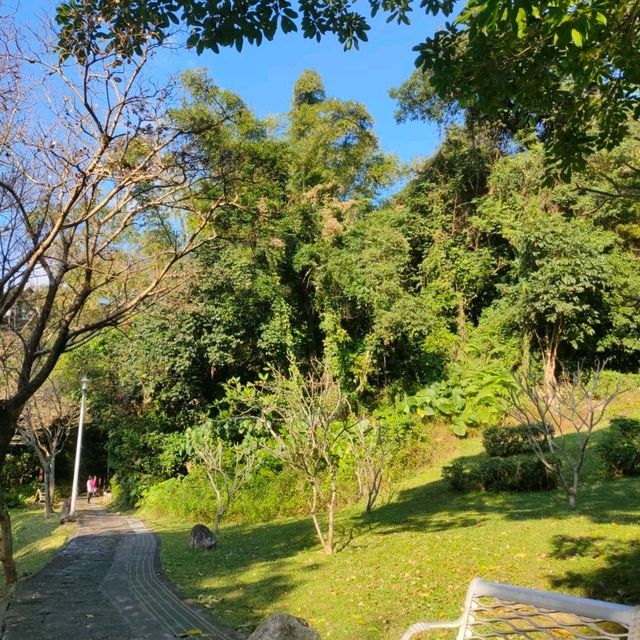 幽靜的碧湖登山步道