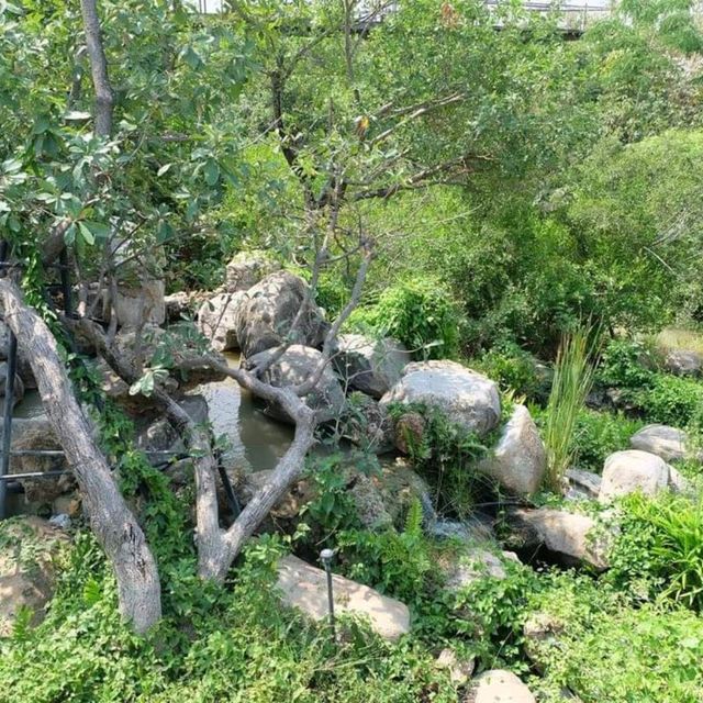 ป่าในกรุง ธรรมชาติ ใจกลางกรุง ~