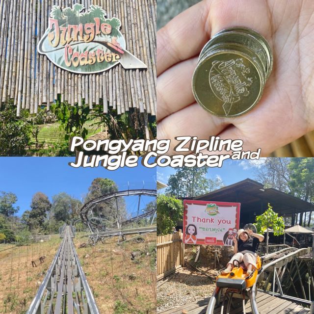Pongyang Zipline and Jungle Coaster