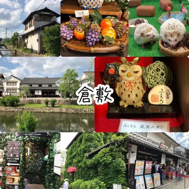 岡山倉敷市😬👍🏻美景一日遊🫶🏻小江户之體驗🤭不一樣的日本🗾