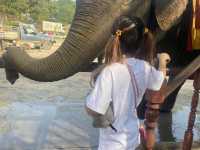 【タイ】アユタヤ遺跡で象乗り体験🐘