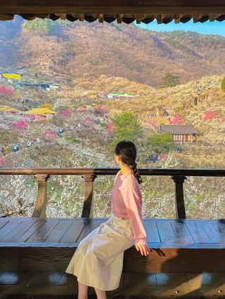 The Popcorn Pang Pang Plum Blossom Festival, heralding spring🌸🌸