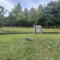原來國家博物館與湖濱公園的出入口只有3分鐘步距