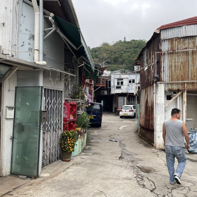 自家農田，香港僅餘的臨時房屋區