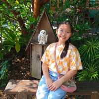 นิทานคาเฟ่ ณ. กาลครั้งหนึ่ง