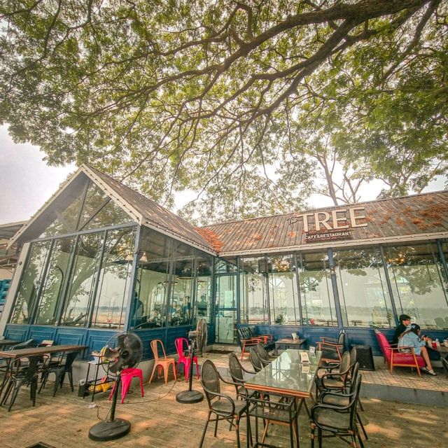 The TREE Cafe&Restaurant 🌳🌴 คาเฟ่ต้นไม้ใหญ่ ริมแม่น้ำโขง