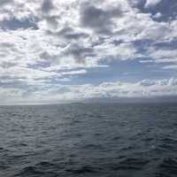 【ケアンズ🇦🇺】砂だけで出来た島"ミコマスケイ"