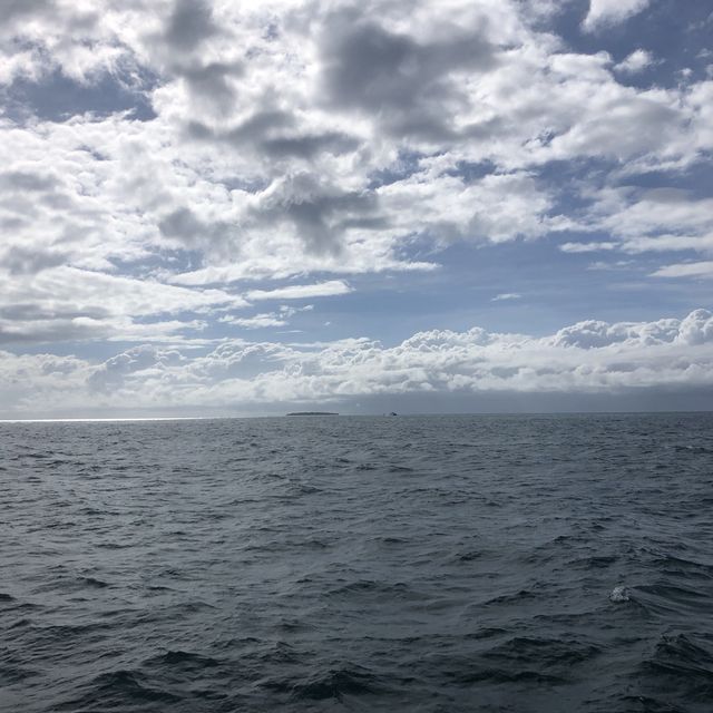 【ケアンズ🇦🇺】砂だけで出来た島"ミコマスケイ"