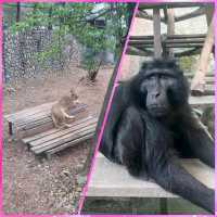 高雄動物園