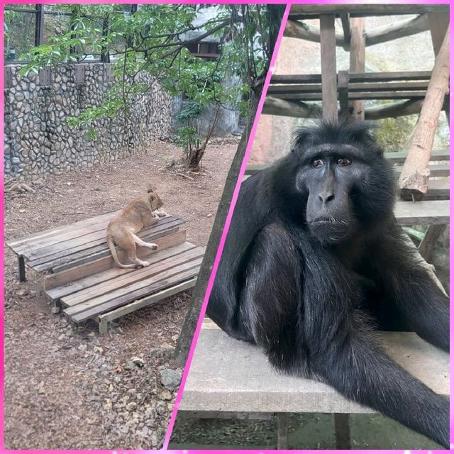 高雄動物園