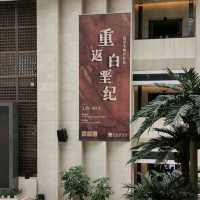 打卡深圳歷史民俗館化石展☞重返白堊紀