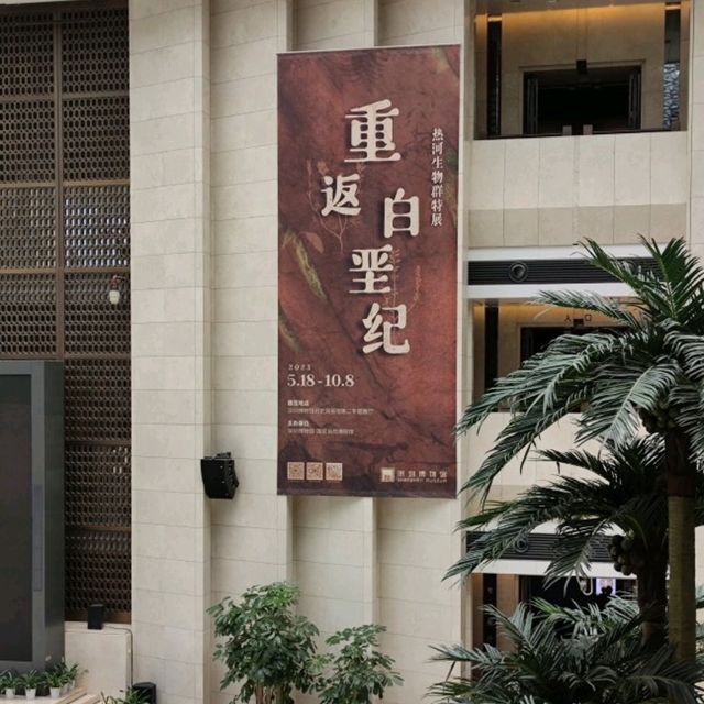 打卡深圳歷史民俗館化石展☞重返白堊紀