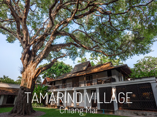 พักหมู่บ้านมะขาม Tamarind Village เชียงใหม่