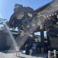 Nijo castle Kyoto 
