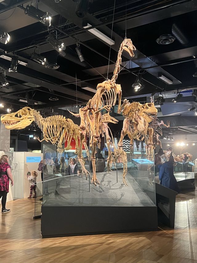 พาเที่ยว Melbourne Museum ออสเตรเลีย 🇦🇺