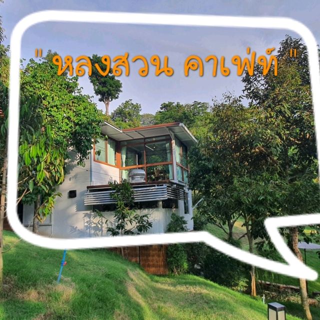 หลงสวน คาเฟ่ท์  ยกภูเขามาไว้ตรงนี้!!