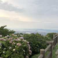 【皿倉山】