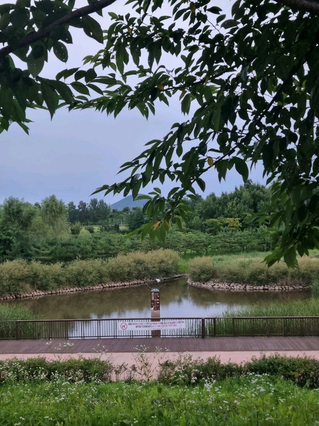 플로깅과 함께 즐기는 한강야생조류생태공원