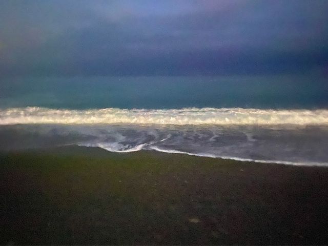 비오는날 완벽한 호캉스 머큐어앰배서더 울산💙