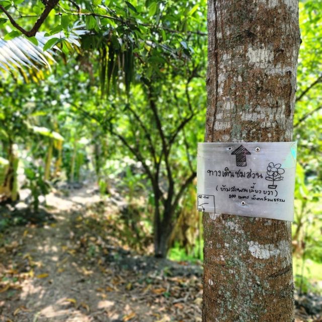 🏡 บ้านมีสวน ☕️ คาเฟ่🌳