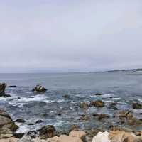 The 17-Mile Drive