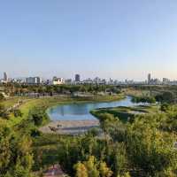 台中西屯 | 台中中央公園，市區內最美公園❤️