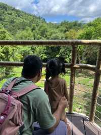 Cebu Safari
