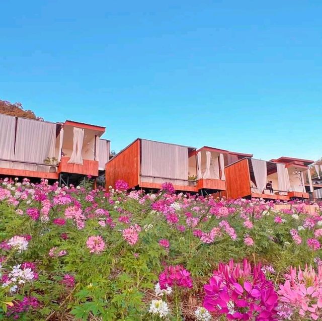 โฮมสเตย์เชียงใหม่ วิวสุดปัง ท่ามกลางสวนดอกไม้ เริ่มต้นคนละ 900 รวมอาหารเช้า🌷🌸🌹🌺