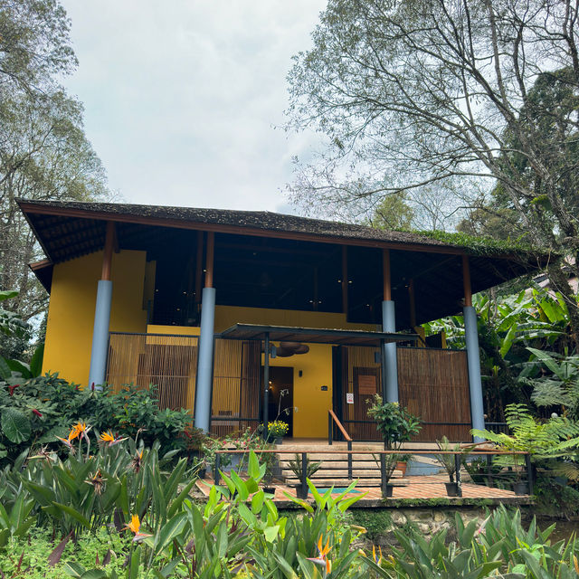 📍“ร้านอาหารโครงการหลวงดอยอินทนนท์” 