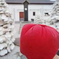 大阪　やりなおし神社として有名　姫嶋神社