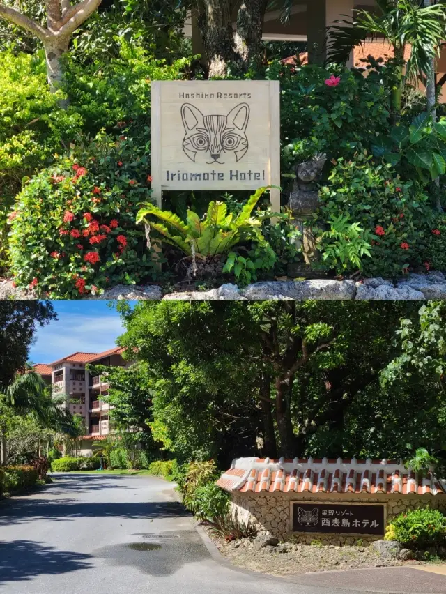 西表島で泊まるならここ！