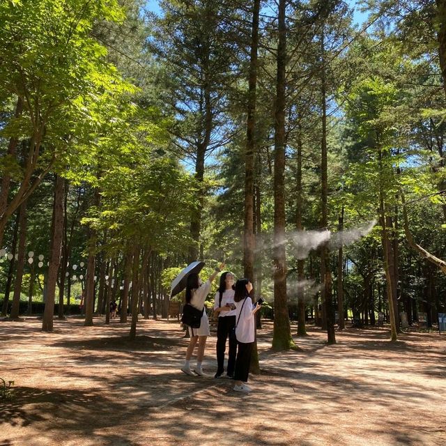 '동화나라, 노래의 섬' 남이섬🏝