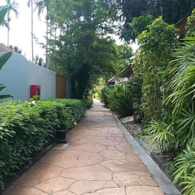 โรงแรมที่ว้าวกับสระว่ายน้ำ