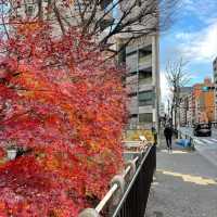 新宿御苑